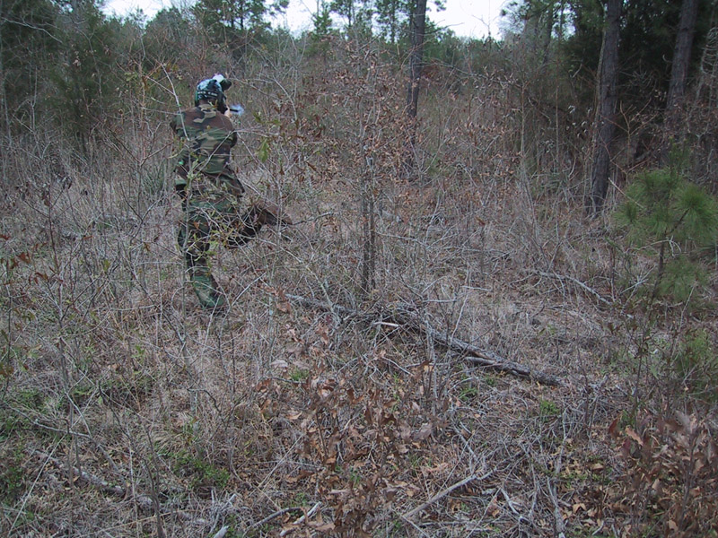 Camouflaged player standing in tall brush