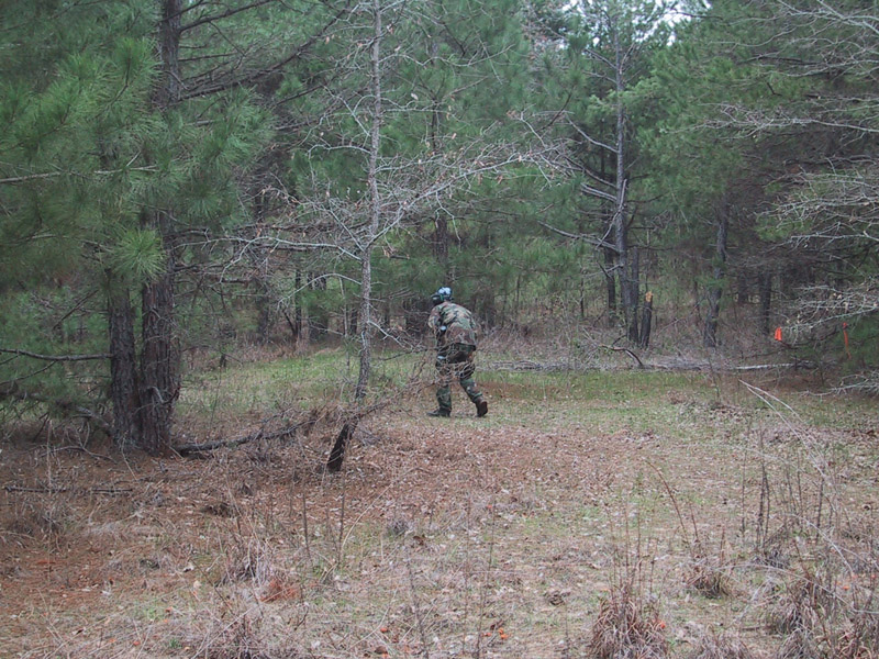 Player standing near a low brush barrier