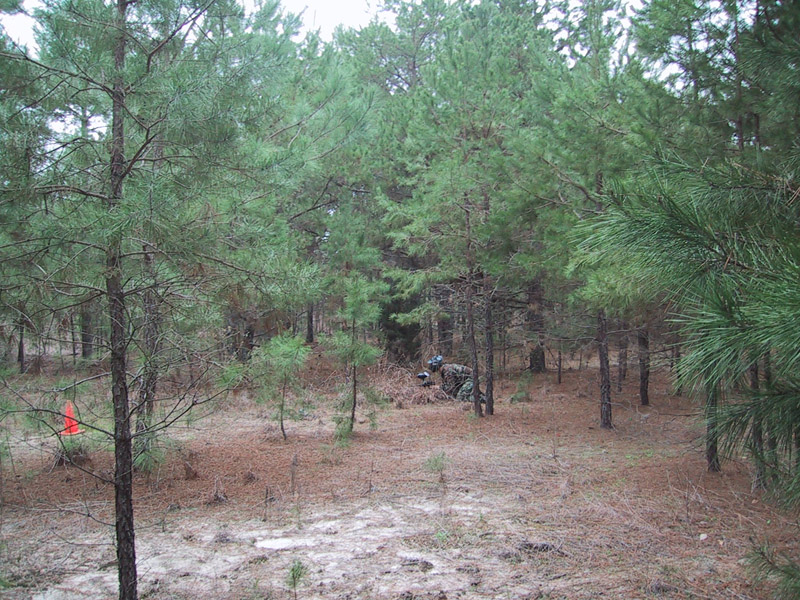 Two players partly visible among field markers and trees