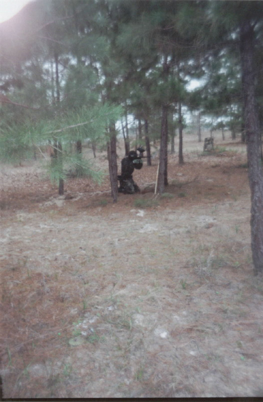 People standing in a wooded clearing