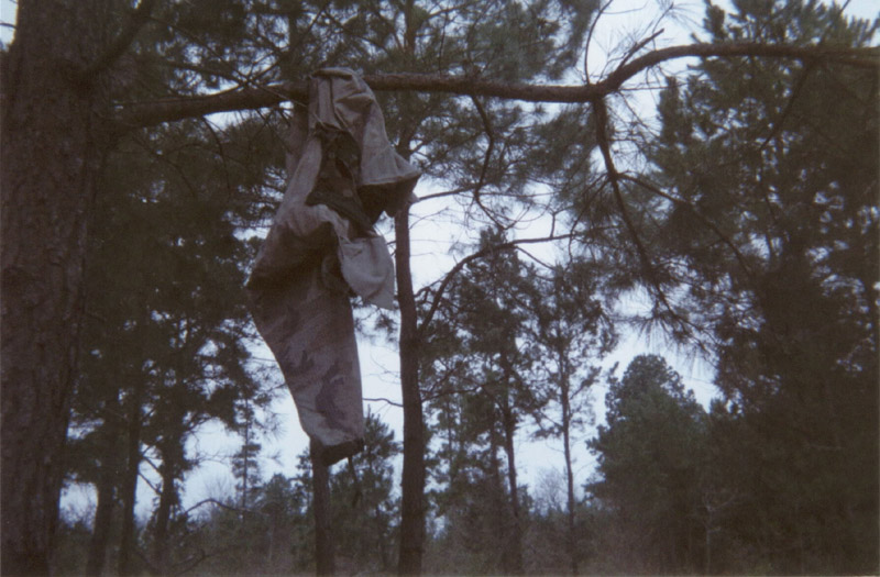 Hanging fabric shelter among tall trees