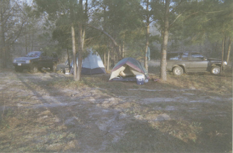 Tents and parked vehicles in a woodland campsite