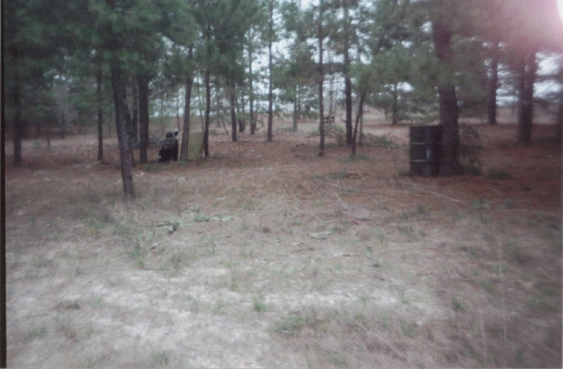 Wooded playing area with scattered field cover