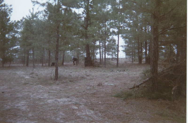 Playing area with trees and scattered cover