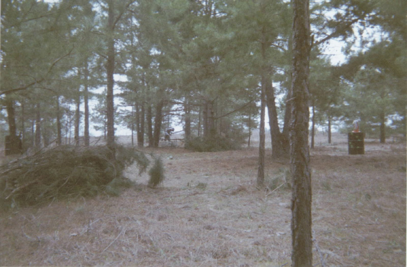 Woodland clearing with a low brush barrier