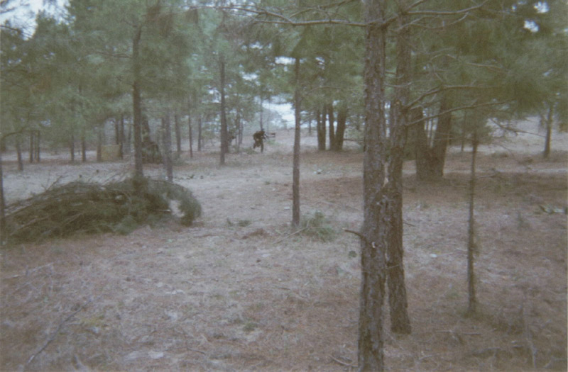 Paintball field with dark cover beside a pine tree