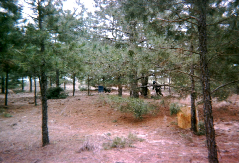 Pine trees and yellow-marked cover on the playing field