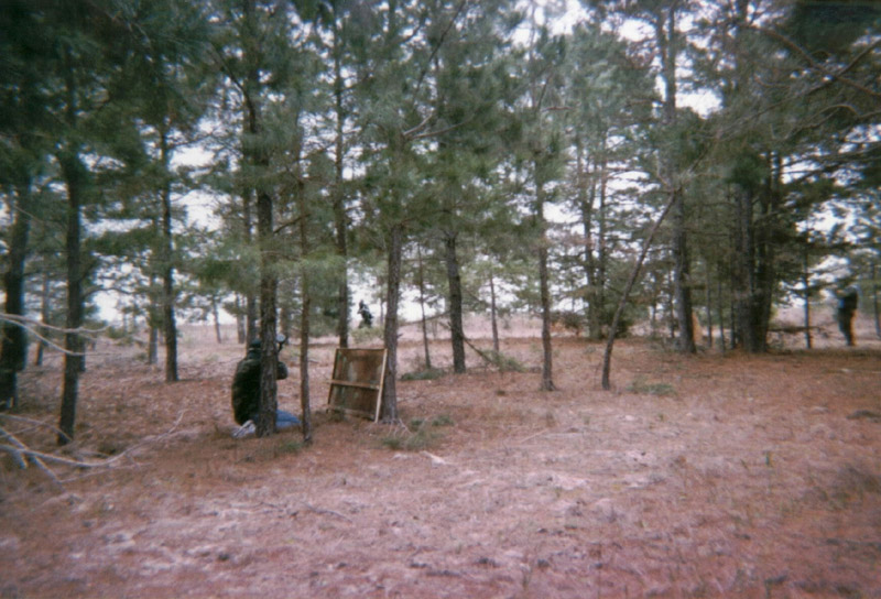 Person standing beside a tree on the playing field