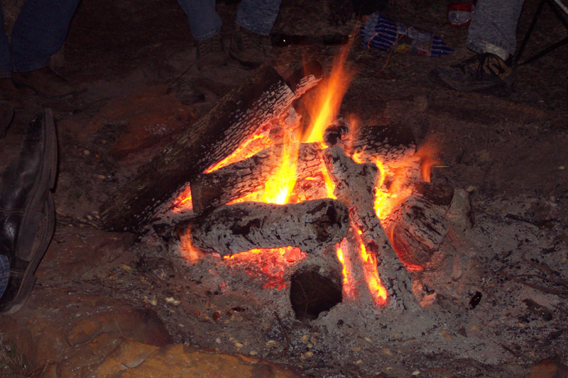 Burning logs and glowing embers in a campfire