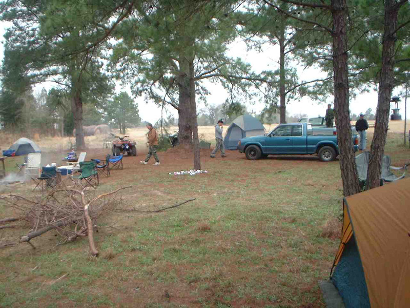 Tents and a pickup truck beneath pine trees