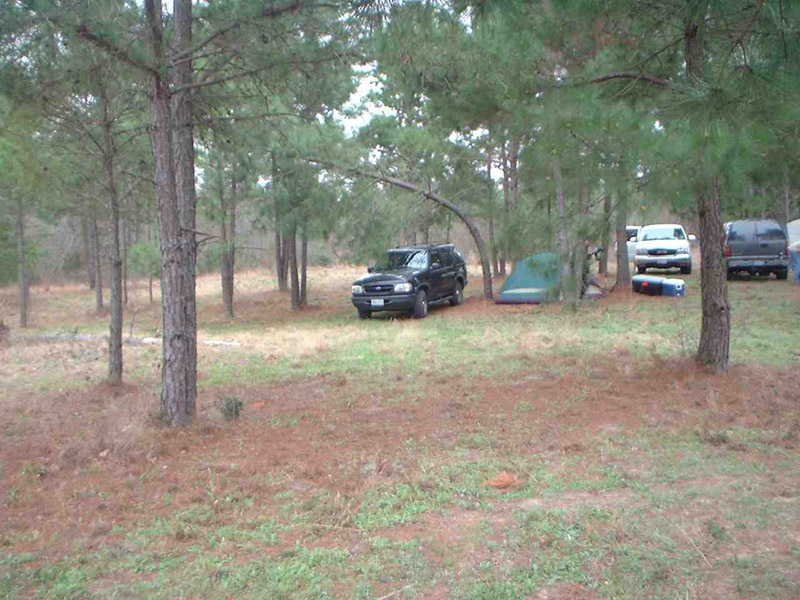 Woodland campsite with parked vehicles and tents