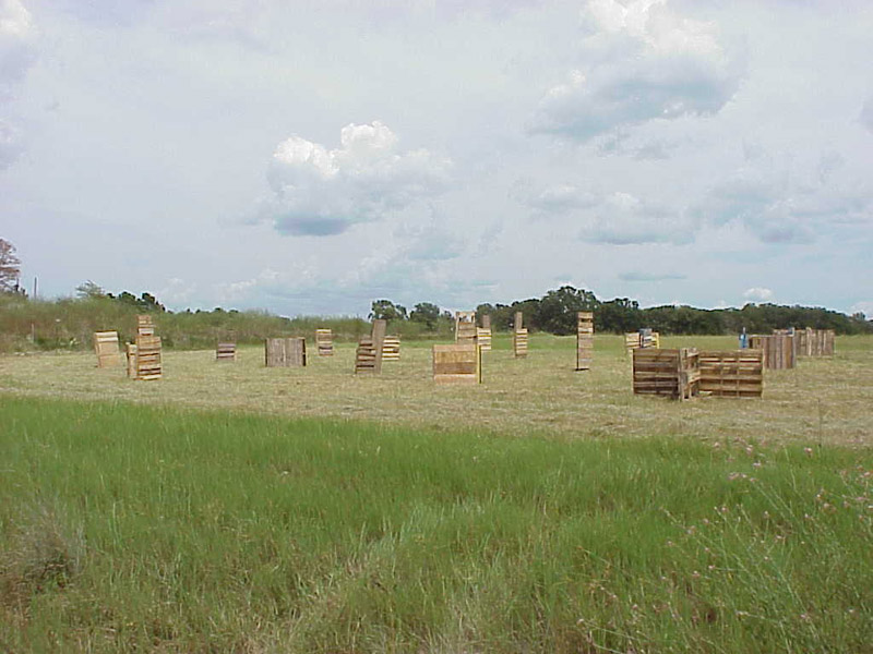 Open playing field bordered by a distant tree line